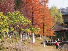 -四里河滨水生态公园