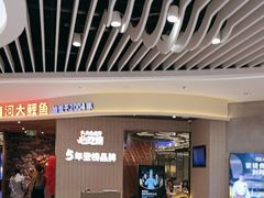-阿五黄河大鲤鱼(海尚店)