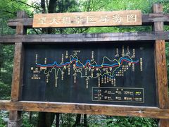 -望天鹅景区