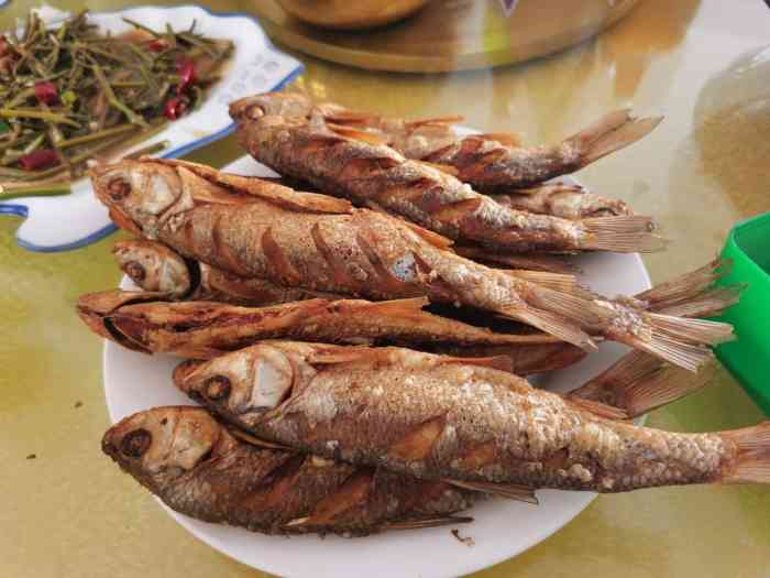 鱼把头-"达里湖北岸有一条街 都是批发市场和餐厅 ."-大众点评移动版