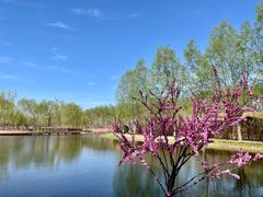 -东郊湿地公园