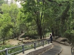 -西安市纺织公园