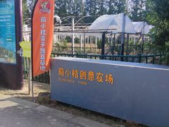 -前小桔亲子创意农场·草莓采摘·露营烧烤