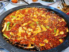 -费明中罗非鱼(大石坝店)