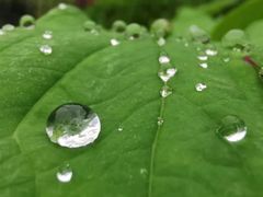 -善园自助餐厅(君澜·绍兴鉴湖大酒店)