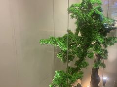 -大鹏饭店·金陵家宴(奥体中心店)