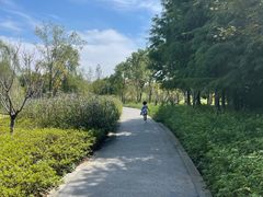 -昆山城市生态森林公园