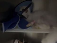 -哆趣宠物医院·眼科·内镜·急重症转诊中心(上海店)