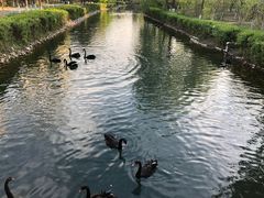 -长白岛森林公园