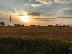 -小陆莲花蟹园农家乐(莲花岛店)
