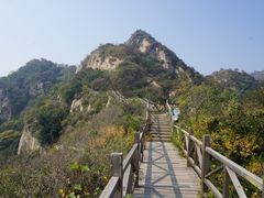 -大岭沟猕猴桃谷风景区