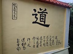 -风云岭森林公园