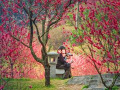 -桃花涧