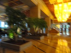 -东莞松山湖凯悦酒店
