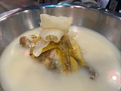 浓汤原只花胶鸡煲-鲜入围煮花胶鸡海鲜火锅