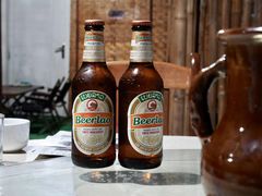 -西双版纳傣族园