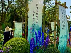 -南宁南湖公园