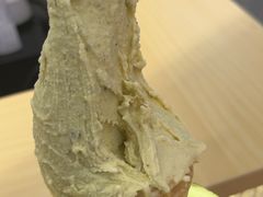 -野人先生现做冰淇淋(西安赛格店)