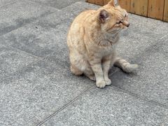 -福州开元寺