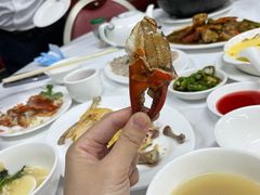 -新陶陶酒家