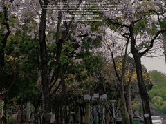 -文华公园(禅城区)