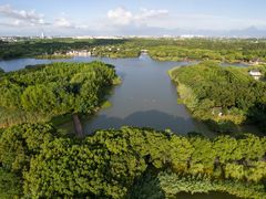 -沙家浜风景区