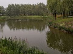 -东郊湿地公园