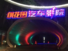 -枫花园汽车电影院(朝阳公园店)