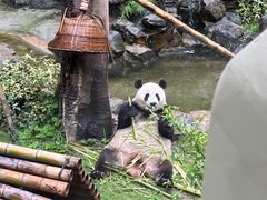 -杭州动物园