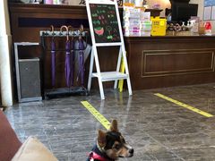 -宠爱国际动物医院·消化内科·心肾内科·ISFM猫友好(望京店)