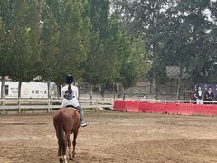 -北京群众马术培训基地