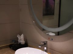 -麗枫(广州番禺长隆南村万博地铁站店)