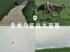 -乌蒙大草原