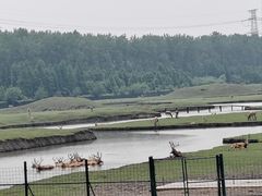 -溱湖国家湿地公园