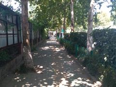 -鞠氏黑芝麻糊(水塔店)