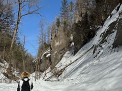 -峡谷浮石林景区