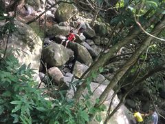 -清溪森林公园