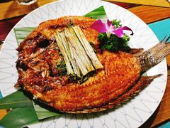 -紫滇源云南生态菜(丹凤街店)
