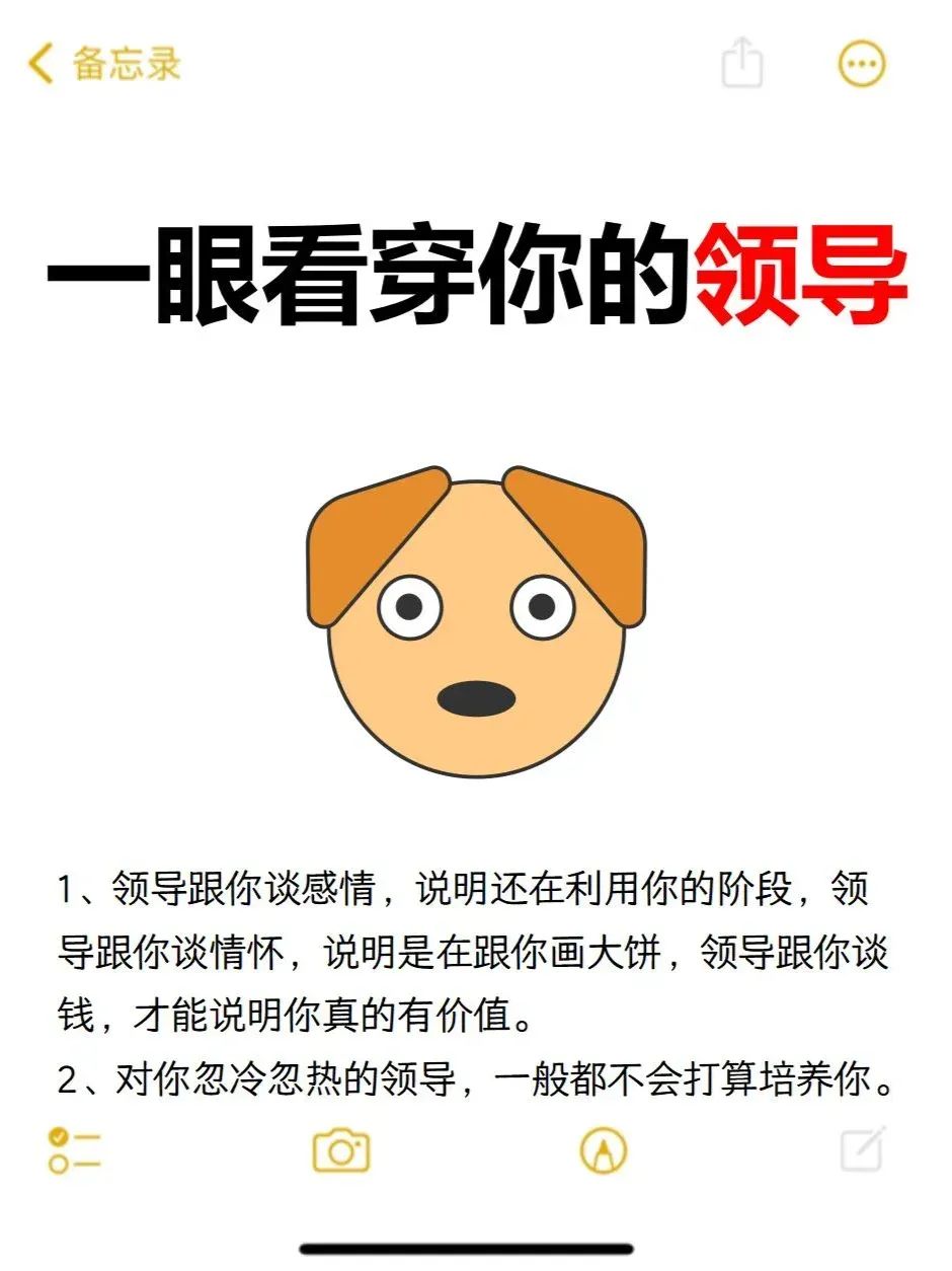 一个领导真正看重你的表现