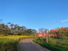 -漳州滨海火山岛自然生态风景区