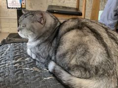 -平行世界·猫咖(首经贸店)