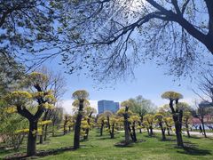 -西海子公园