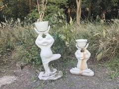 -上海共青森林公园