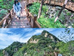 -大岭沟猕猴桃谷风景区