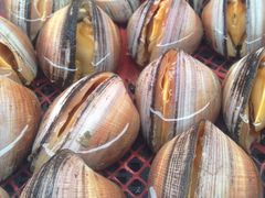 -南沙十九涌渔人码头-南门