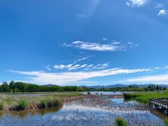 -野鸭湖国家湿地公园