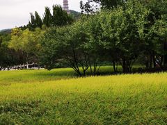 -北坞公园