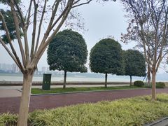 -张坝桂圆林公园