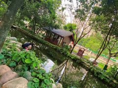 -成都市活水公园