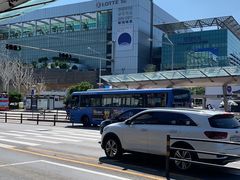 -乐天免税店(明洞店)